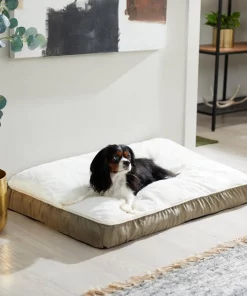 Frisco Pillow Cat & Dog Bed