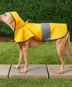 Frisco Rainy Days Dog Raincoat 15 Frisco Rainy Days Dog Raincoat -Frisco Sales 2024 119207 PT7. SY630 V1540475370