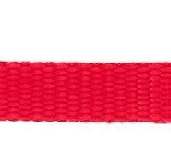 Frisco Solid Nylon Dog Leash -Frisco Sales 2024 133806 PT2. SY630 V1528227232