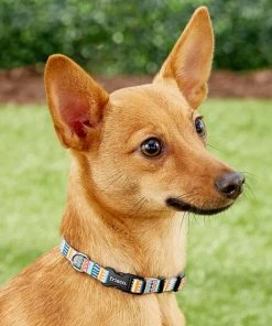 Frisco Patterned Polyester Dog Collar 10 Frisco Patterned Polyester Dog Collar -Frisco Sales 2024 137737 PT2. SY630 V1620515233