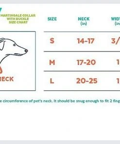 Frisco Solid Nylon Martingale Dog Collar with Buckle -Frisco Sales 2024 139159 PT1. SY630 V1620068833