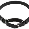 Frisco Solid Nylon Slip-On Martingale Dog Collar -Frisco Sales 2024 139163 Main. SY630 V1582829023