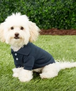 Frisco Classic Dog Polo Shirt -Frisco Sales 2024 139455 PT6. SY630 V1541454212