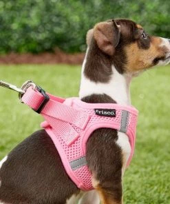 Frisco Small Breed Soft Vest Step In Back Clip Dog Harness 13 Frisco Small Breed Soft Vest Step In Back Clip Dog Harness -Frisco Sales 2024 139821 PT5. SY630 V1561573781