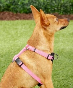 Frisco Padded Nylon No Pull Dog Harness -Frisco Sales 2024 140003 PT5. SY630 V1561574033