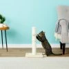 Frisco 21-in Sisal Cat Scratching Post with Toy -Frisco Sales 2024 140149 MAIN. SY630 V1584450985
