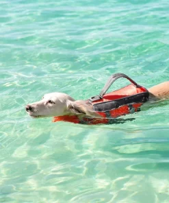 Frisco Ripstop Dog Life Jacket -Frisco Sales 2024 140916 PT8. SY630 V1540476419