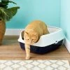 Frisco Open Top Cat Litter Box With Rim, Large 19-in -Frisco Sales 2024 141377 MAIN. SY630 V1565284941