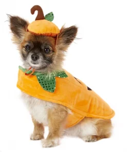 Frisco Pumpkin Dog & Cat Costume -Frisco Sales 2024 144441 PT2. SY630 V1625868143