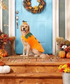 Frisco Pumpkin Dog & Cat Costume -Frisco Sales 2024 144441 PT3. SY630 V1567175133