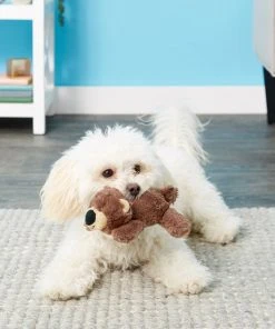 Frisco Plush Squeaking Bear Dog Toy -Frisco Sales 2024 146979 PT1. SY630 V1539205036