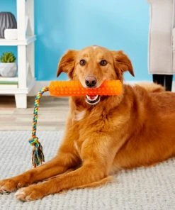 Frisco Rope with Handle Grip Dog Toy -Frisco Sales 2024 147102 PT1. SY630 V1539286334