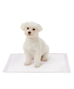 Frisco Dog Training Pads, 21 x 21-in, 100 count, Floral Scented 12 Frisco Dog Training Pads, 21 x 21-in, 100 count, Floral Scented -Frisco Sales 2024 149818 PT3. SY630 V1624495686