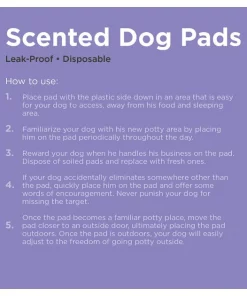Frisco Dog Training Pads, 21 x 21-in, 100 count, Floral Scented 14 Frisco Dog Training Pads, 21 x 21-in, 100 count, Floral Scented -Frisco Sales 2024 149818 PT5. SY630 V1624497465