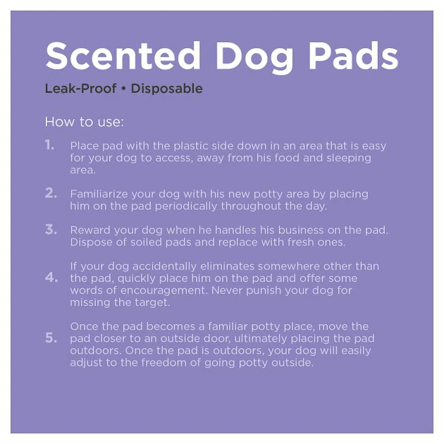 Frisco Dog Training Pads, 21 x 21-in, 100 count, Floral Scented 8 Frisco Dog Training Pads, 21 x 21-in, 100 count, Floral Scented - Image 6