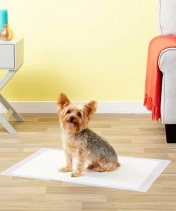 Frisco Dog Training Pads, 21 x 21-in, 100 count, Floral Scented 15 Frisco Dog Training Pads, 21 x 21-in, 100 count, Floral Scented -Frisco Sales 2024 149818 PT6. SY630 V1624485161