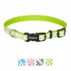 Frisco Patterned Polyester Reflective Dog Collar -Frisco Sales 2024 151018 MAIN. SY630 V1619126216