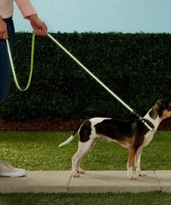 Frisco Patterned Nylon Reflective Dog Leash -Frisco Sales 2024 151035 PT4. SY630 V1628029029