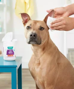 Frisco Deodorizing Ear Wipes with Aloe for Dogs & Puppies -Frisco Sales 2024 152583 PT4. SY630 V1551302935