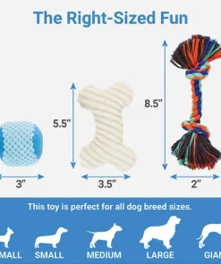 Frisco Hide & Seek Plush Chewy Box Puzzle Dog Toy 8 Frisco Hide & Seek Plush Chewy Box Puzzle Dog Toy -Frisco Sales 2024 152808 PT2. SY630 V1550761634