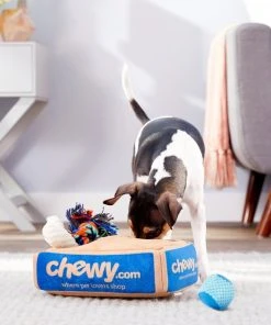 Frisco Hide & Seek Plush Chewy Box Puzzle Dog Toy 9 Frisco Hide & Seek Plush Chewy Box Puzzle Dog Toy -Frisco Sales 2024 152808 PT3. SY630 V1549654771