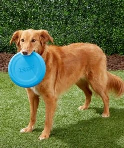 Frisco Fetch Rubber Flyer Dog Toy -Frisco Sales 2024 152848 PT3. SY630 V1549655097