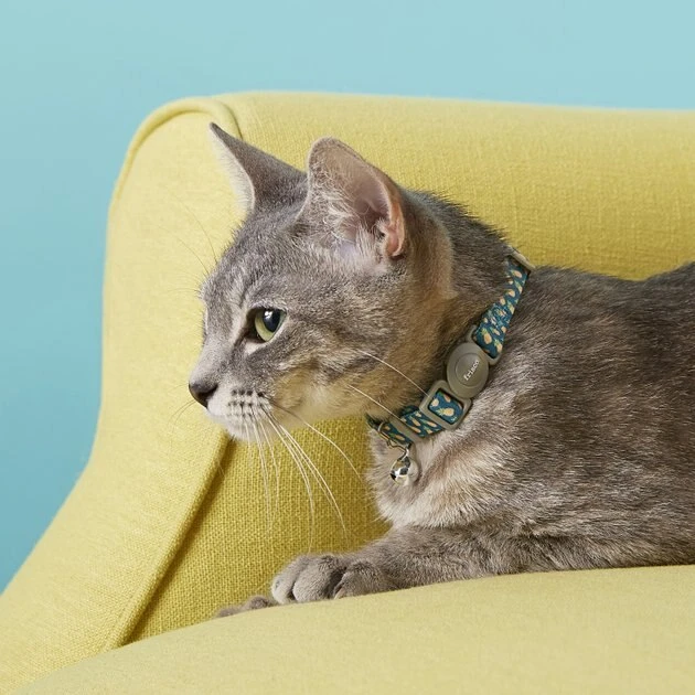 Frisco Pineapple Polyester Breakaway Cat Collar with Bell 4 Frisco Pineapple Polyester Breakaway Cat Collar with Bell - Image 2