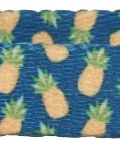 Frisco Pineapple Polyester Breakaway Cat Collar with Bell 10 Frisco Pineapple Polyester Breakaway Cat Collar with Bell -Frisco Sales 2024 153158 PT3. SY630 V1568380088 scaled