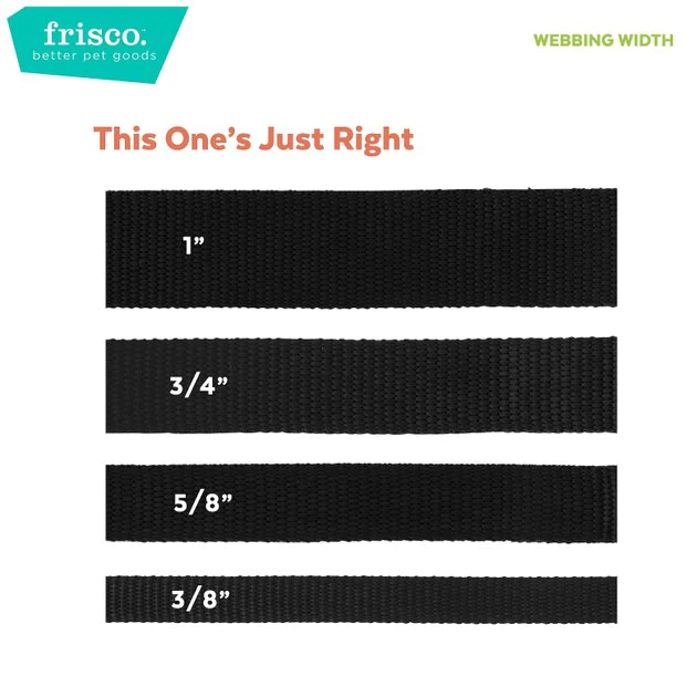 Frisco Pineapple Polyester Breakaway Cat Collar with Bell 7 Frisco Pineapple Polyester Breakaway Cat Collar with Bell - Image 5