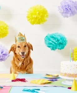 Frisco Happy Birthday Dog & Cat Crown -Frisco Sales 2024 153665 PT5. SY630 V1551231039