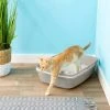 Frisco Sifting Cat Litter Box, Large, 22-in -Frisco Sales 2024 155658 MAIN. SY630 V1565284998