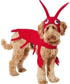 Frisco Red Lobster Dog & Cat Costume -Frisco Sales 2024 158722 PT2. SY630 V1659023725