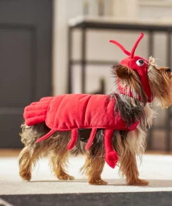 Frisco Red Lobster Dog & Cat Costume -Frisco Sales 2024 158722 PT6. SY630 V1659023722