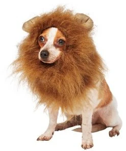 Frisco Lion Mane Dog & Cat Costume 11 Frisco Lion Mane Dog & Cat Costume -Frisco Sales 2024 158731 PT2. SY630 V1625877120