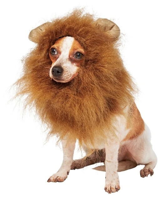 Frisco Lion Mane Dog & Cat Costume 5 Frisco Lion Mane Dog & Cat Costume - Image 3