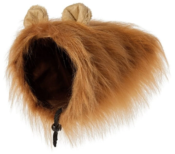 Frisco Lion Mane Dog & Cat Costume 6 Frisco Lion Mane Dog & Cat Costume - Image 4