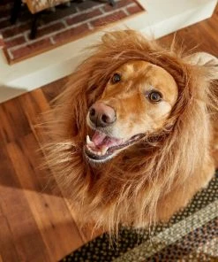 Frisco Lion Mane Dog & Cat Costume 15 Frisco Lion Mane Dog & Cat Costume -Frisco Sales 2024 158731 PT8. SY630 V1599139860