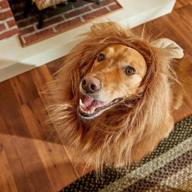 Frisco Lion Mane Dog & Cat Costume 9 Frisco Lion Mane Dog & Cat Costume - Image 7