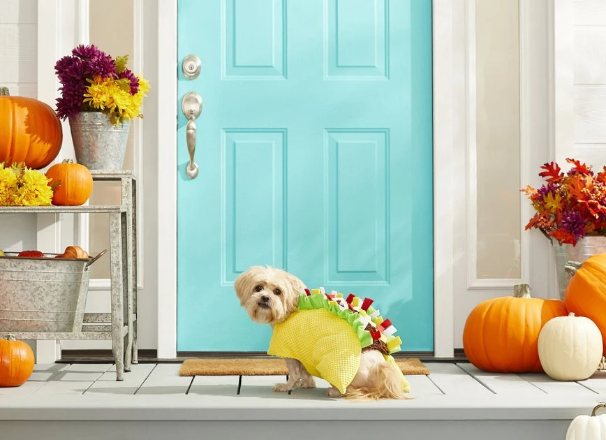 Frisco Taco Dog & Cat Costume 6 Frisco Taco Dog & Cat Costume - Image 4