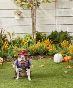 Frisco Front Walking Cowboy Dog & Cat Costume -Frisco Sales 2024 158837 PT3. SY630 V1567176011