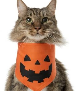 Frisco Jack O' Lantern Pumpkin Dog & Cat Hoodie -Frisco Sales 2024 158886 PT2. SY630 V1637668889