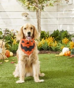 Frisco Jack O' Lantern Pumpkin Dog & Cat Hoodie -Frisco Sales 2024 158886 PT3. SY630 V1637719642
