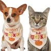 Frisco Mommy's Lil Pumpkin Dog & Cat Bandana 1 Frisco Mommy's Lil Pumpkin Dog & Cat Bandana -Frisco Sales 2024 158936 MAIN. SY630 V1633068697
