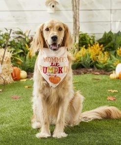 Frisco Mommy's Lil Pumpkin Dog & Cat Bandana -Frisco Sales 2024 158936 PT4. SY630 V1633064807