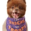 Frisco I Do Tricks For Treats Dog & Cat Bandana -Frisco Sales 2024 158938 MAIN. SY630 V1633728989