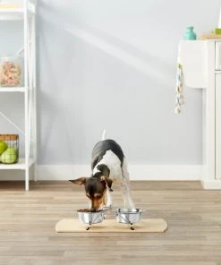 Frisco Non-Skid Elevated Dog & Cat Diner -Frisco Sales 2024 159881 PT3. SY630 V1561123384