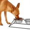Frisco Pyramid Elevated Dog & Cat Diner -Frisco Sales 2024 159883 MAIN. SY630 V1583424780