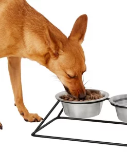 Frisco Pyramid Elevated Dog & Cat Diner