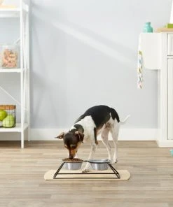 Frisco Pyramid Elevated Dog & Cat Diner -Frisco Sales 2024 159883 PT3. SY630 V1561123335