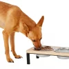 Frisco Wooden Elevated Dog & Cat Diner -Frisco Sales 2024 161144 MAIN. SY630 V1578432855